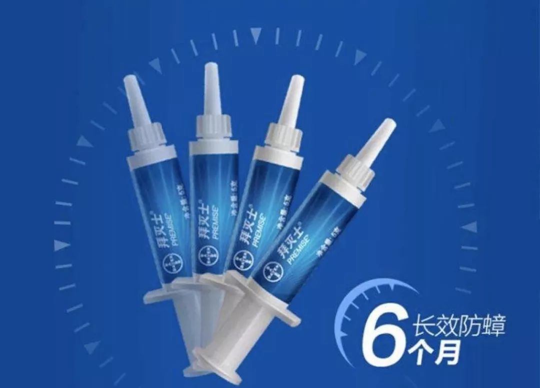 想要消灭家里蟑螂,家里有蟑螂能够请专业人士来灭吗