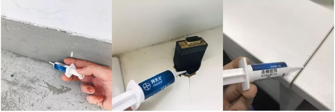 想要消灭家里蟑螂,家里有蟑螂能够请专业人士来灭吗