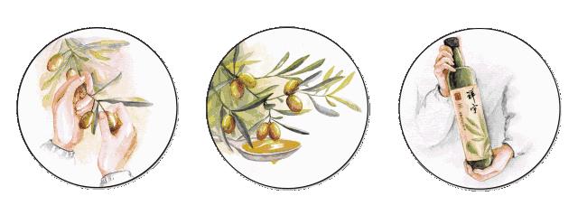 【每日一品】武都橄榄油，液体黄金的秘密都在这里了