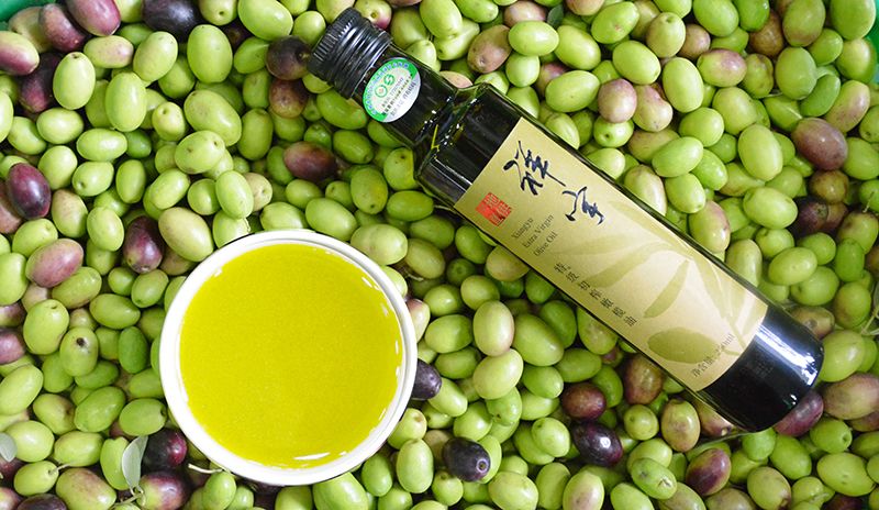 【每日一品】武都橄榄油，液体黄金的秘密都在这里了