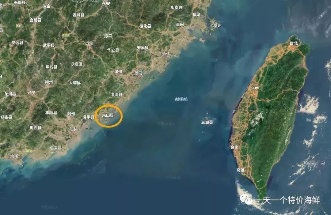 渔家女揭露海鲜市场黑幕,渔家女直播回放