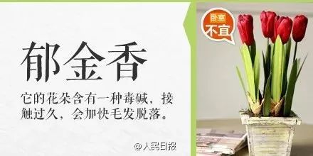 误食毒物最有效的急救方法,紧急提醒最新中毒案例