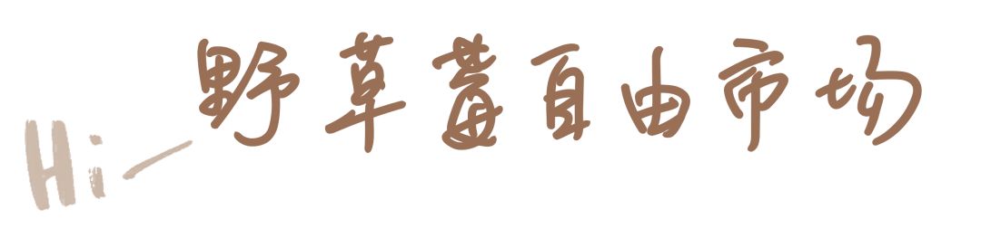 厦门|哎哟？这两家店有点野！