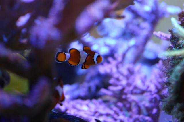 鉴定完毕就是好人吗,鉴定完毕就是亲生的没错了