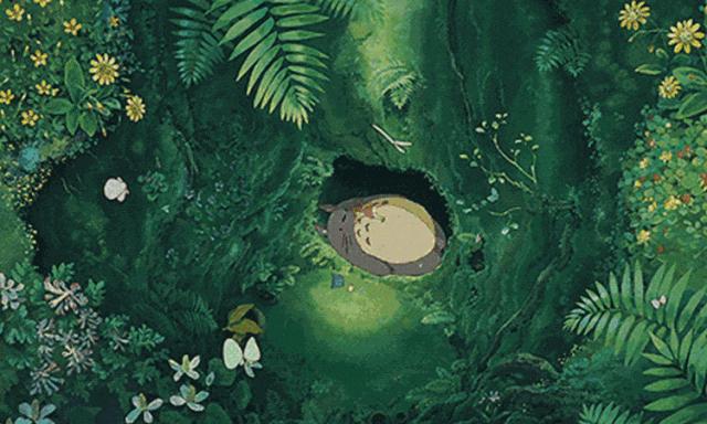 宫崎骏的夏天龙猫千与千寻,宫崎骏千与千寻国内上映时间