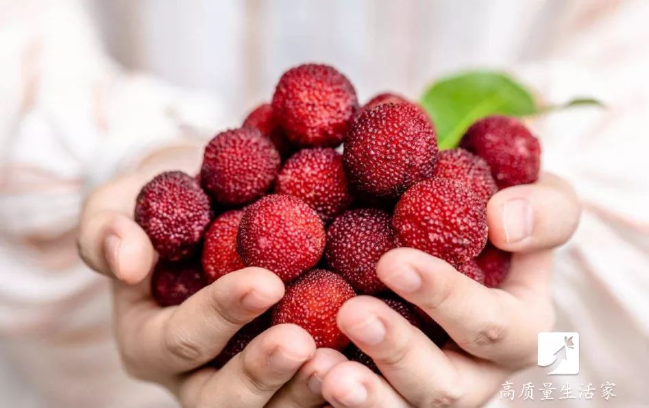 杨梅用盐洗不泡能洗干净嘛,杨梅能用盐清洗干净吗