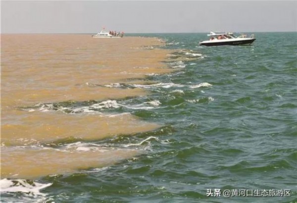 东营市赴青州古城开展精准宣传推介活动