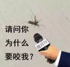 驱蚊手环推荐高颜值女,林允同款水晶手链