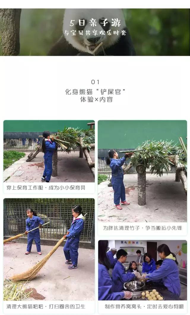 都江堰熊猫谷铲屎官报名,成都大熊猫铲屎官志愿者活动