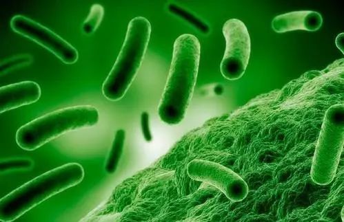 蚊虫叮咬脚气怎么办,超好用的止痒消肿的药膏蚊虫叮咬