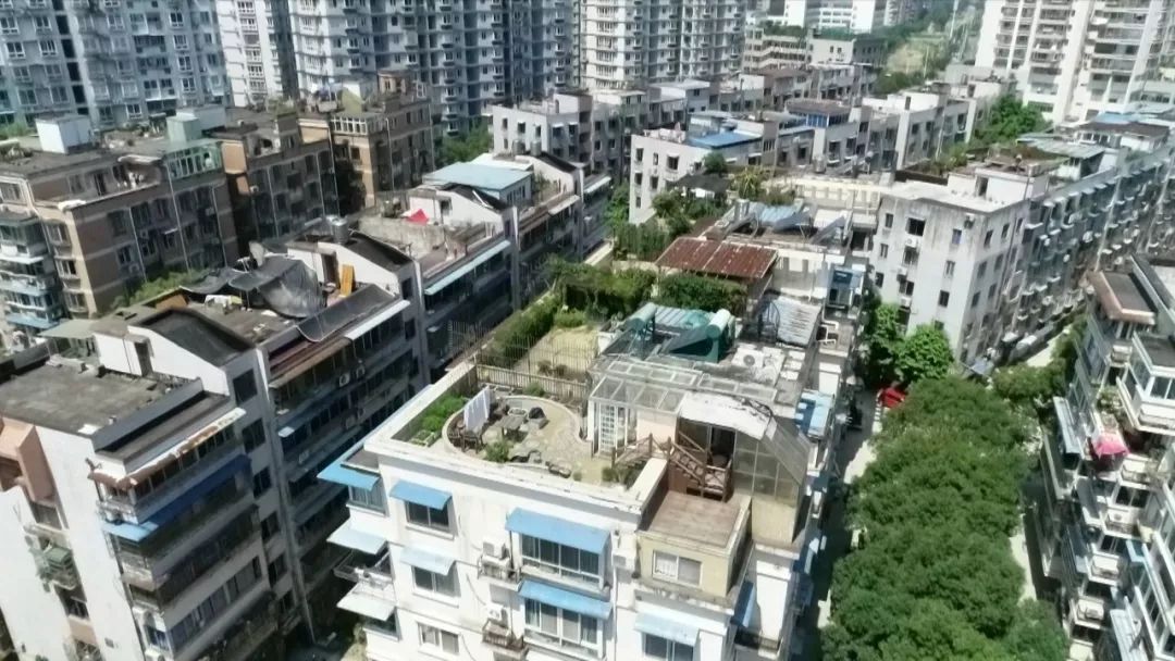 楼中楼最新政策,新政聚焦栏目