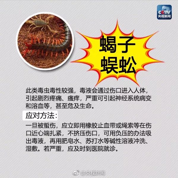 警惕！博白一男子被红火蚁咬了一口，全身浮肿险休克