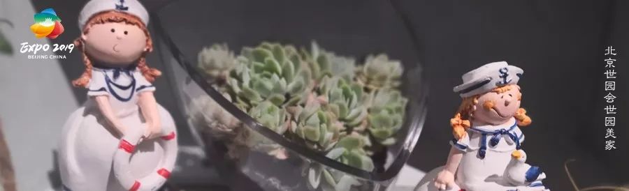 每月一花|神奇凤仙花——居住在世园美家的女神守护者