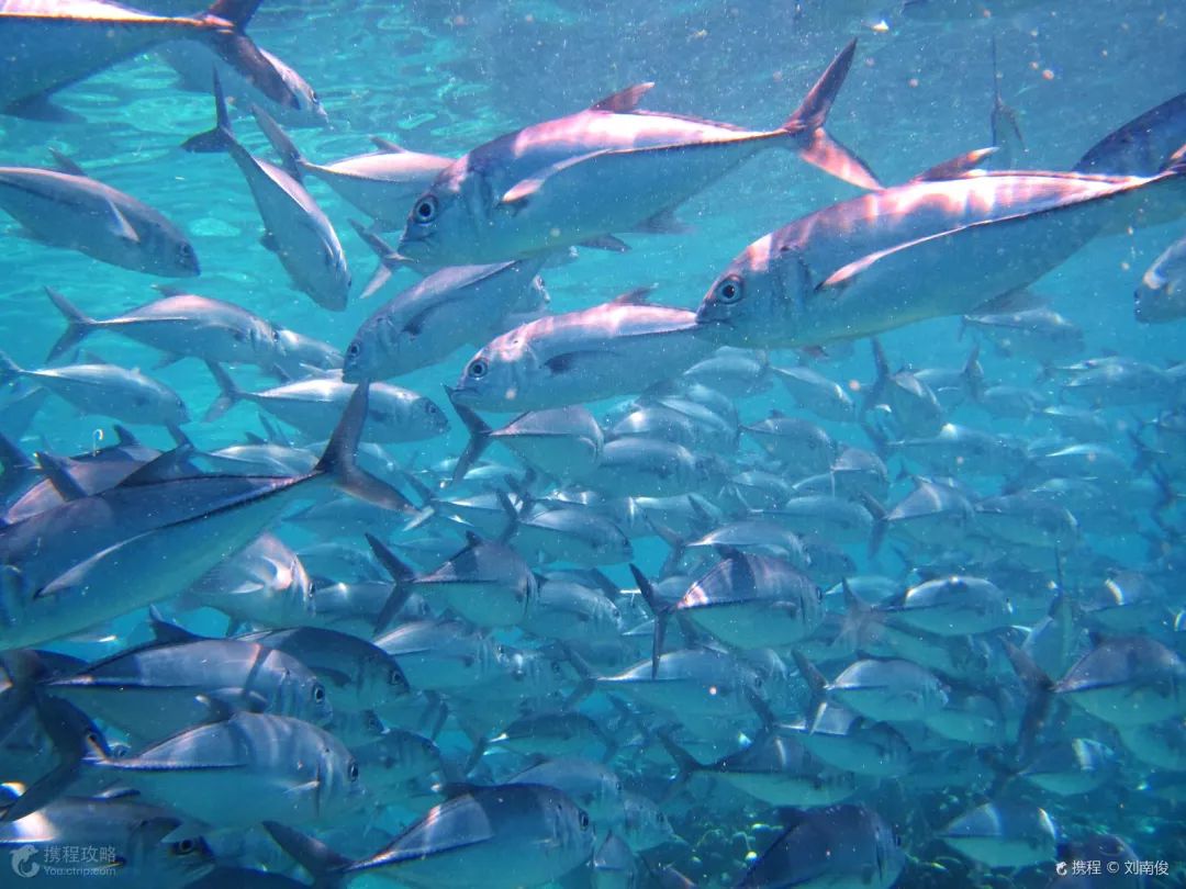 最便宜免签的海岛,小众便宜国外海岛旅游免签