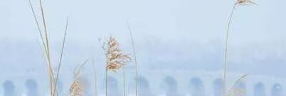 中年古诗每日好诗,长安行古诗欣赏