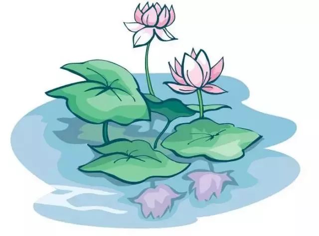 粉嫩暴击！建德这个地方会飘“仙气”，看一眼就醉！