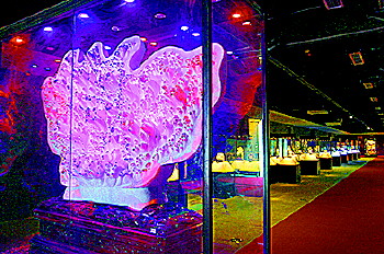 齐河夜明珠博物馆,齐河博物馆夜明珠多重