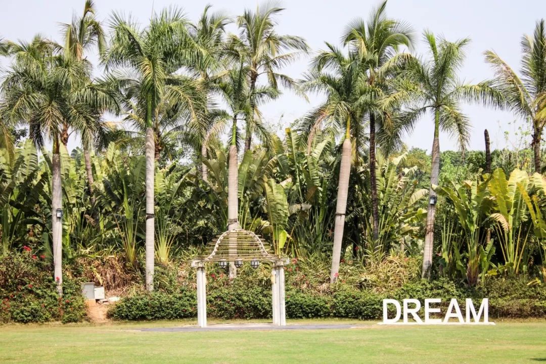 希尔顿最值得购买的酒店,云南丽江晶玺希尔顿酒店