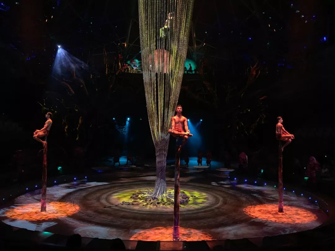 希尔顿最值得购买的酒店,云南丽江晶玺希尔顿酒店