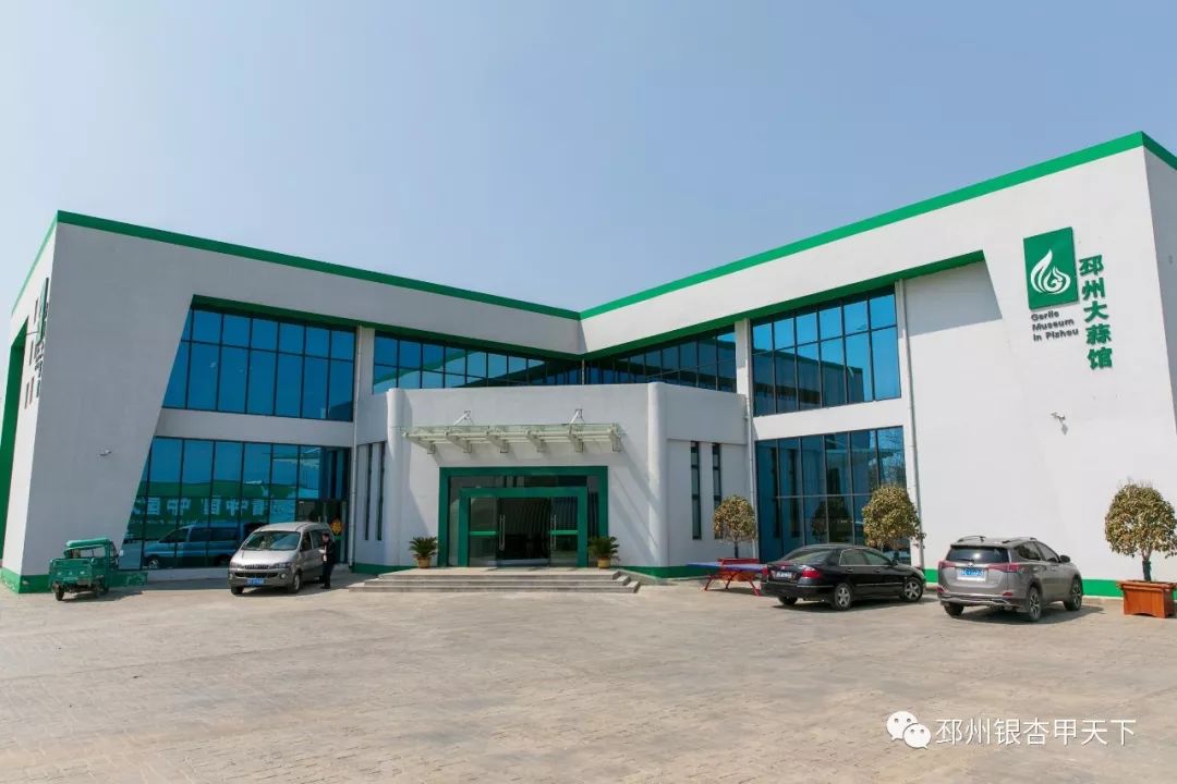 今天，人民网聚焦邳州：小蒜头撬动百亿级大产业