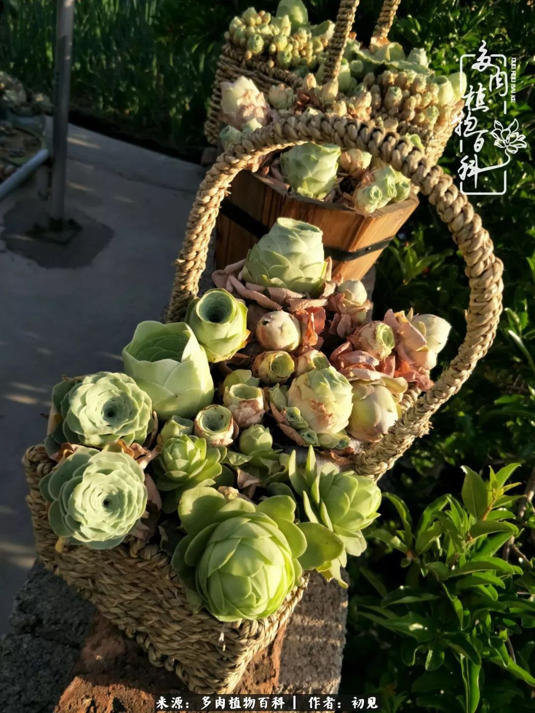 紧张焦虑高考,高考紧张时刻有你陪伴