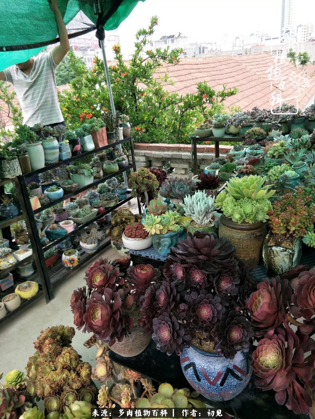 紧张焦虑高考,高考紧张时刻有你陪伴