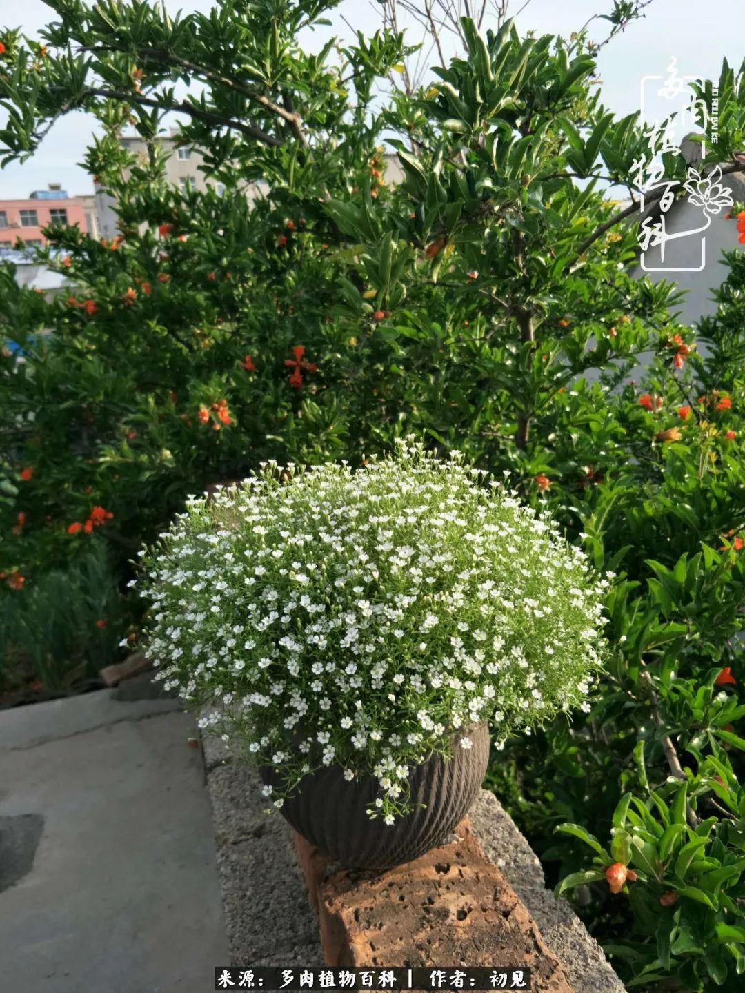 紧张焦虑高考,高考紧张时刻有你陪伴