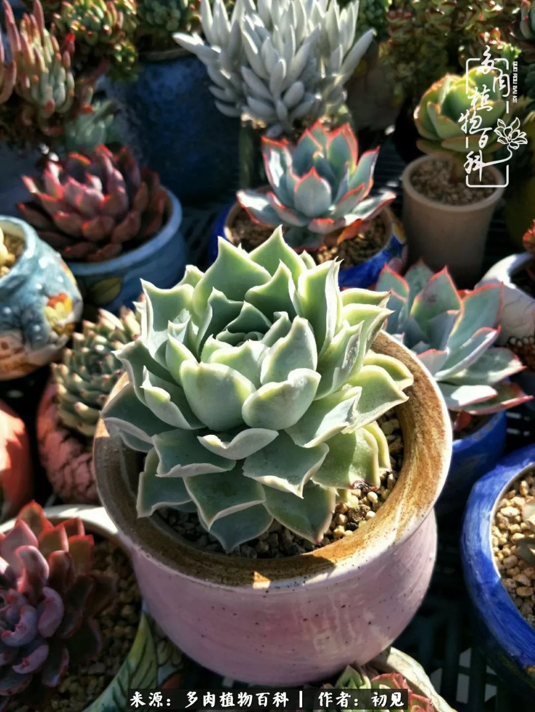 紧张焦虑高考,高考紧张时刻有你陪伴