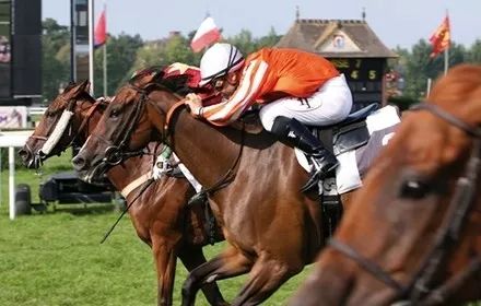 「旅游」“全民暑假”开启！想出去浪？看看法国人青睐的暑期旅行目的地吧