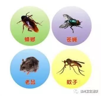 赣州市四害消杀,赣州灭四害竞标