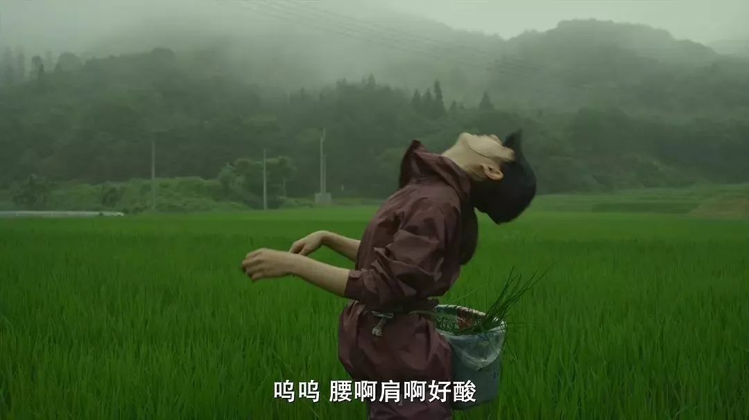 每天能够吃五六种保健品吗,每天吃四种保健品