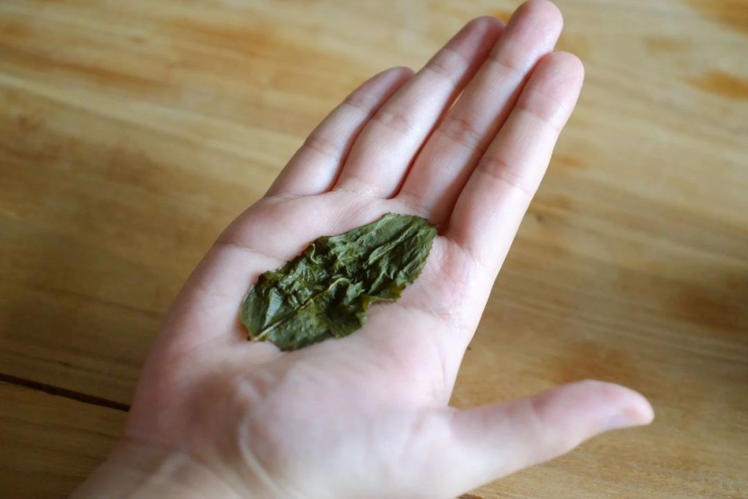 闽南铁观音和台湾乌龙的区别,闽南乌龙代表茶