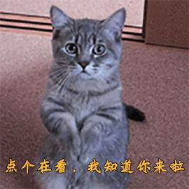 拒绝一次就不再热情,拒绝一次就没机会了吗