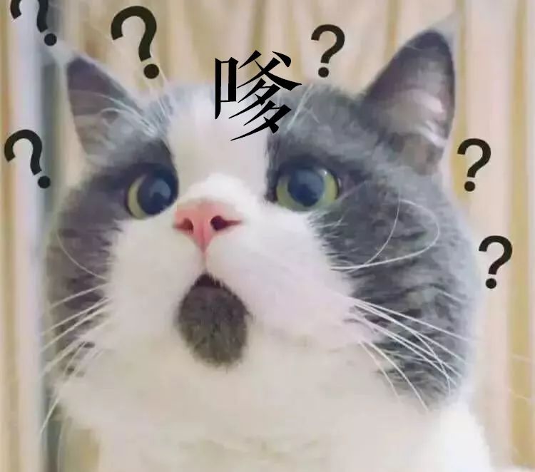 全国塑料普通话图鉴,全国塑料普通话图片