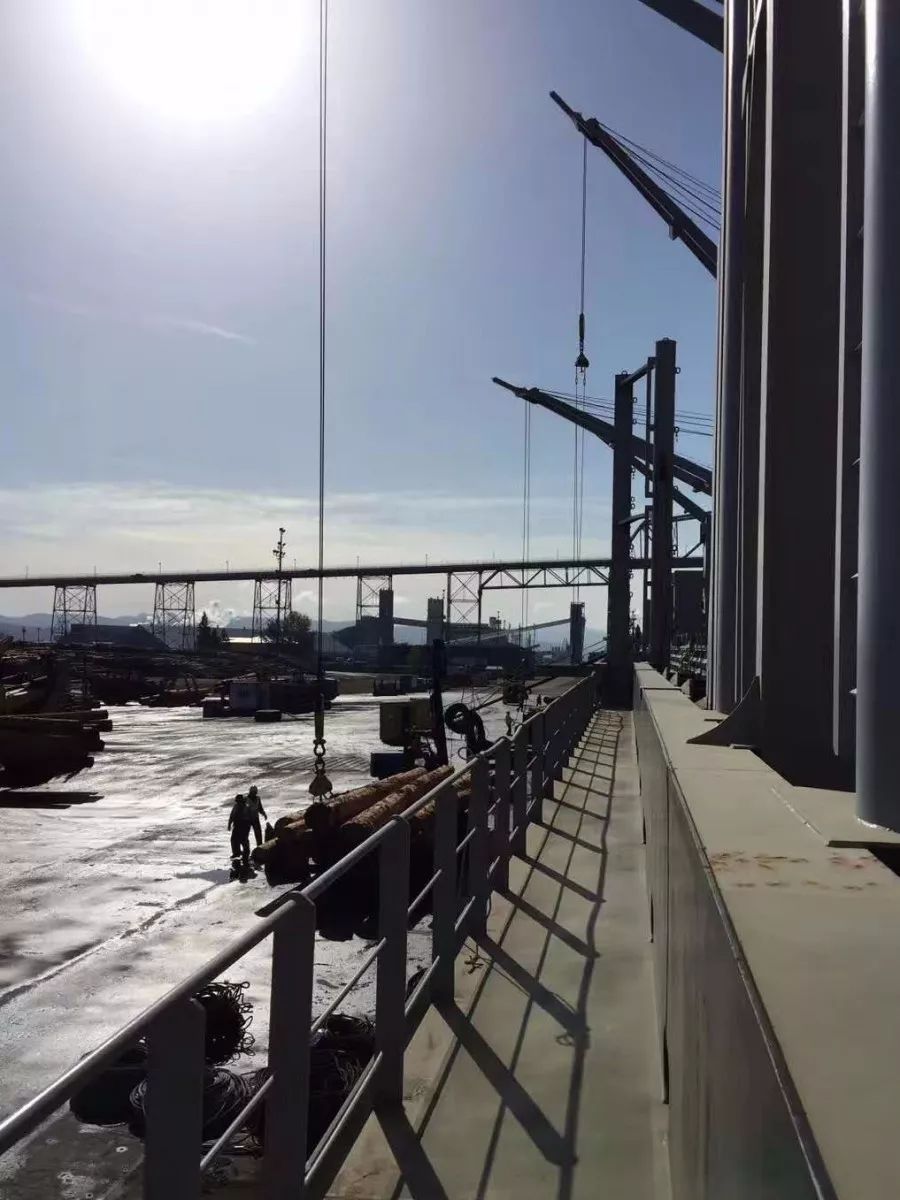 木材科普知识大全,木材海运怎么计费