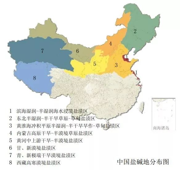 海水稻是什么农业,什么是海水稻的重要特征
