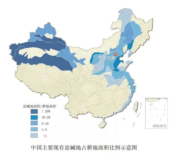 海水稻是什么农业,什么是海水稻的重要特征