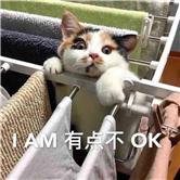 洲际油气股票,洲际油气股吧200777