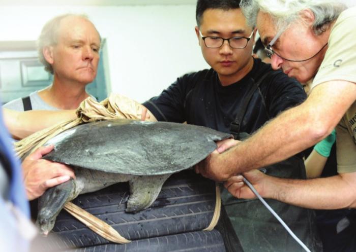 神话里最孤独强大的神兽是谁,孤独的神兽叫什么名字