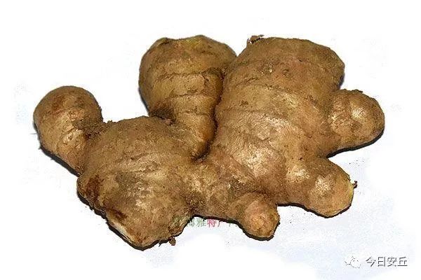 山东安丘的特产名称有哪些,山东安丘十大小吃