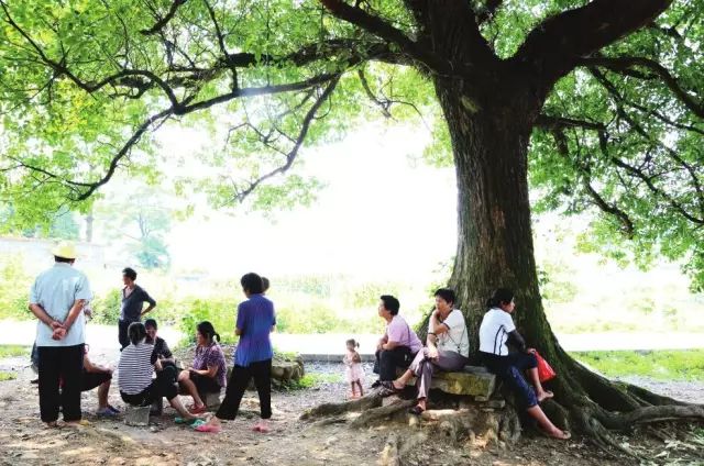 小时候的夏天为什么不热,小时候为什么不怕热