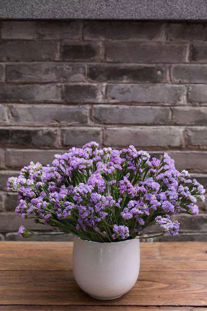 花之声新疆歌曲,花之声完全版原唱