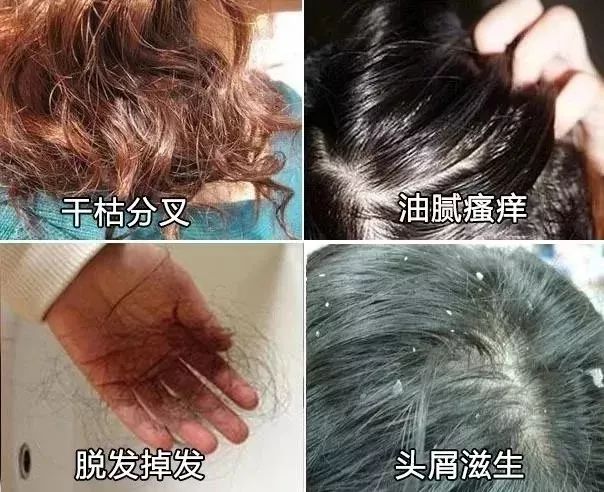 你的头发一天一次还长吗,你的头发那么长不会掉下来吗