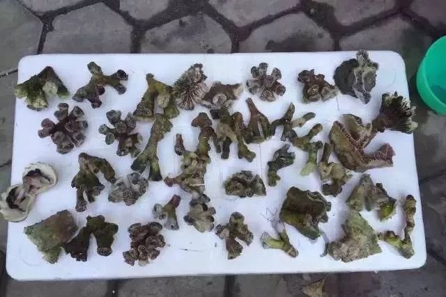 你还记得你第一次入行的情景么,你还记得你第一次见到对方的样子