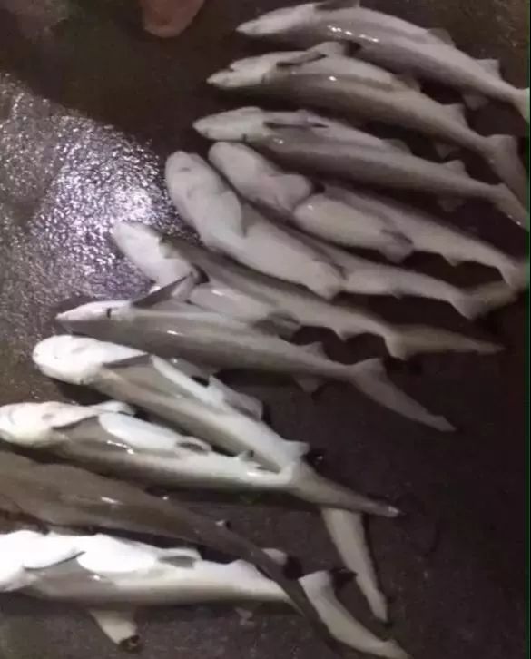 你还记得你第一次入行的情景么,你还记得你第一次见到对方的样子