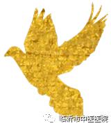 夏季治疗白癜风的良药,夏季能治好白癜风吗