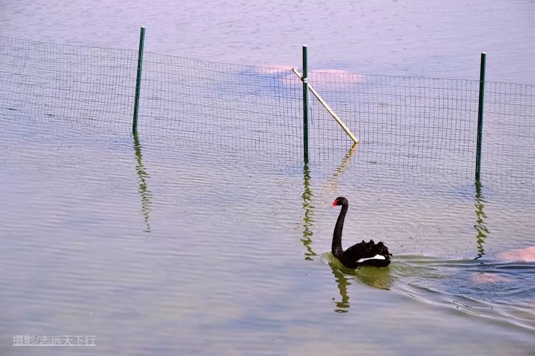厦门带孩子玩景点攻略推荐,厦门带孩子最值得去的旅游景点
