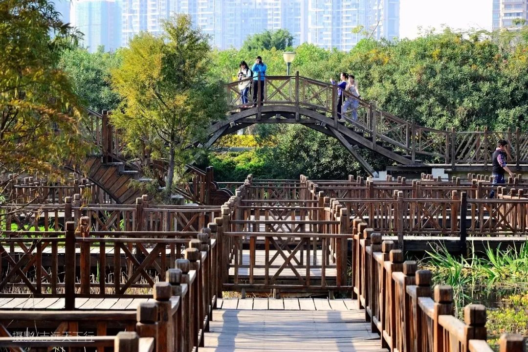 厦门带孩子玩景点攻略推荐,厦门带孩子最值得去的旅游景点