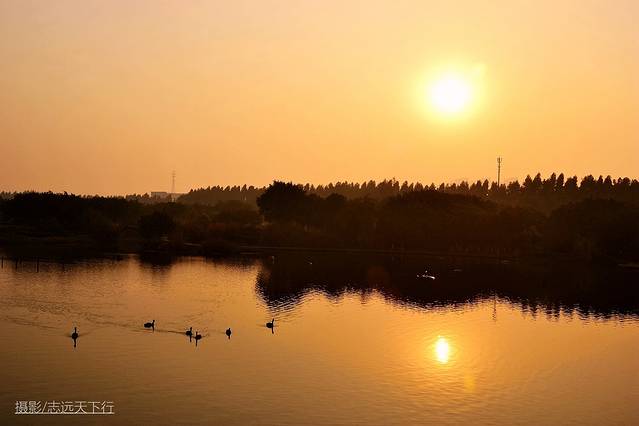 厦门带娃游玩景点推荐最新,厦门带娃必去景点攻略推荐