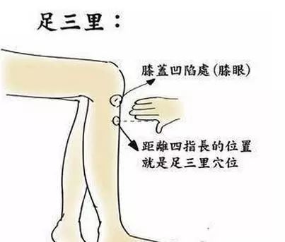 湿气重吃什么祛湿排毒好,健康生活与常见疾病预防